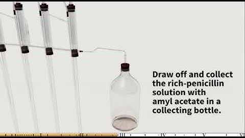 Penicillin production case study