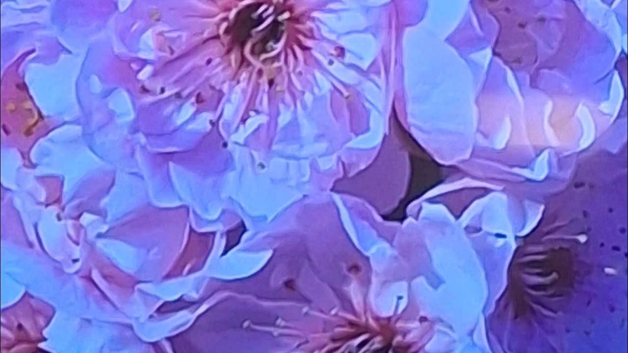 ሰላም ለሁላችሁ Enatna  Lju Tubeእናትና ልጅ ዩቱብ is live!