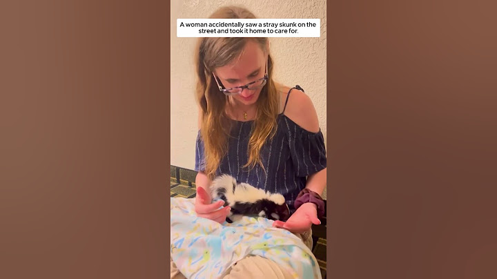 A woman accidentally saw a stray skunk on the street and took it home to care for #animalshorts
