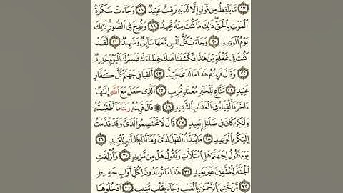 ماهر المعيقلي سورة ق مكتوبة من الآية 1 صفحة 518 إلي الآية 45 صفحة 520