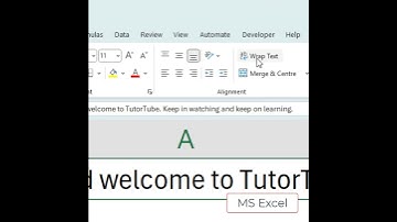 MS Excel Warp-tekst