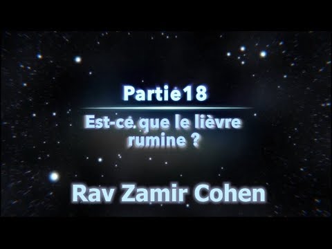 Vidéo: Est-ce que le lapin rumine ?