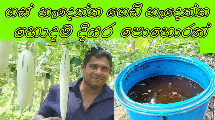 kabanika diyara pohora    Home gardening   Organic...