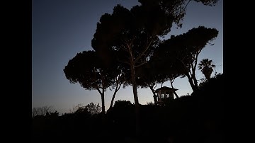 OUTPOST (14.02.2025)