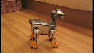 Sony Aibo... 220 Boost mode! by Aibo Addicts 27,736 views 14 years ago 3 minutes, 10 seconds