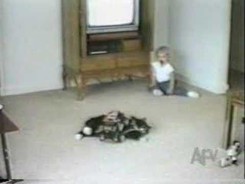 Kinderen en dieren