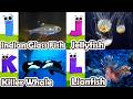 ABC Sea Animals Song 🐠 | Learn Alphabet A to Z with Ocean Animals | Kids Learning Video for Toddlers