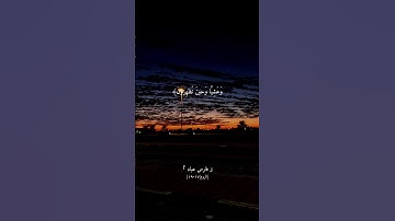 فسبحان الله حين تمسون وحين تصبحون | سورة الروم | القارئ فارس عباد | حالات واتس اب قران