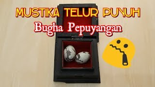 Mustika Telur Puyuh (Bugha peninggalan pepuyangan)