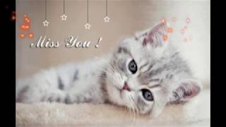 I Miss You Photos for Her/Him, I Miss You Pictures, I Miss You Images For Lovers Whatsapp Status #1