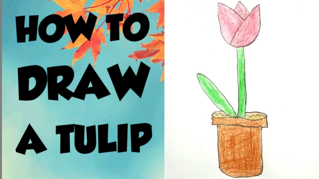 How to draw a Tulip | Easy Tulip drawing | Step by step Tulip drawing ...