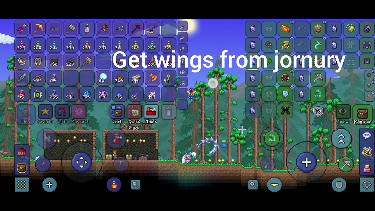 how to get infinite wings in terraria (Plz read description) YouTube