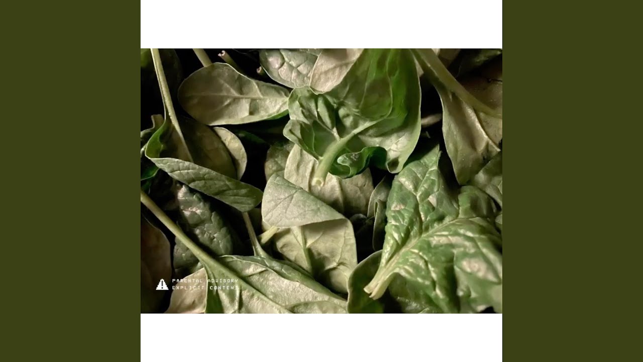 Watch Spinach on YouTube Watch Spinach on YouTube