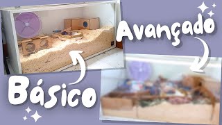 Como montar um alojamento PERFEITO para hamster: BÁSICO × AVANÇADO 🐹🤓