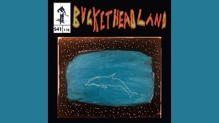In The Sky - Buckethead (Pike 541)