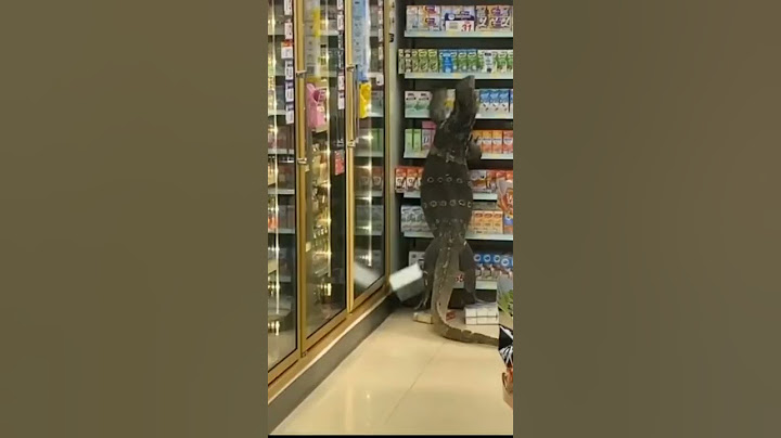 Monitor Lizard enters Supermarket | Giant Monitor Lizard | Giant Lizard #shorts