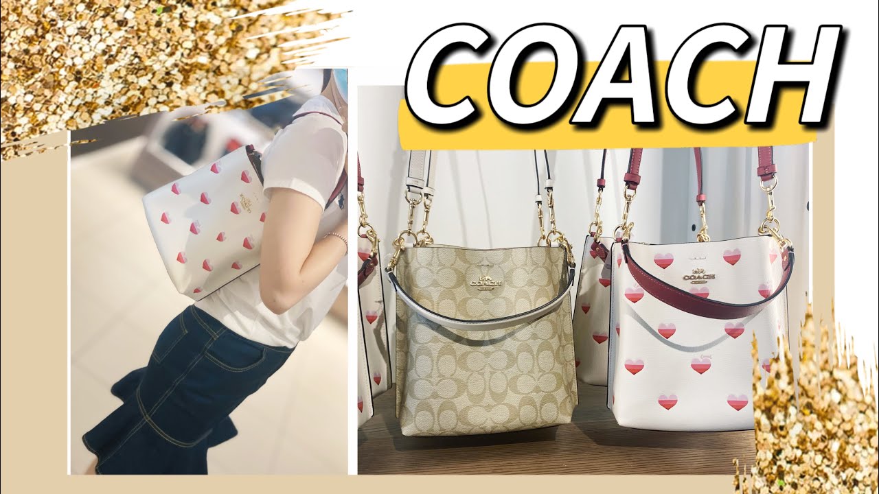 Coach Mollie 22 Small Heart Cherry Print Bucket Handbag