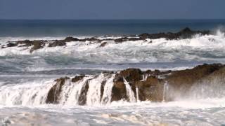 MonsterWaveHD_2092