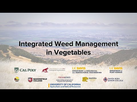 Integrated Weed Management in Vegetables