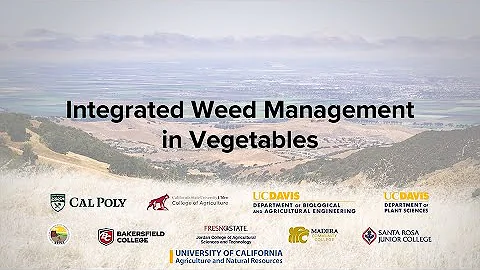 Integrated Weed Management in Vegetables