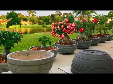 DIY How to make large Concrete Planters from A to Z. Concrete Pottery