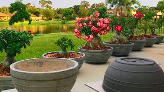 DIY How to make large Concrete Planters from A to Z. Concrete Pottery