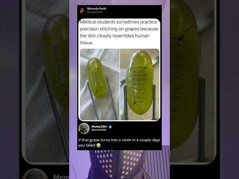 يمارس طلاب الطب أحيان ا الخياطة الدقيقة على العنب