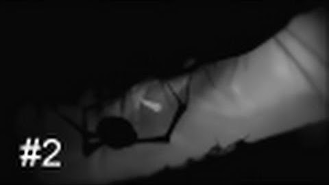 Limbo Walkthrough - Chapter 6-10