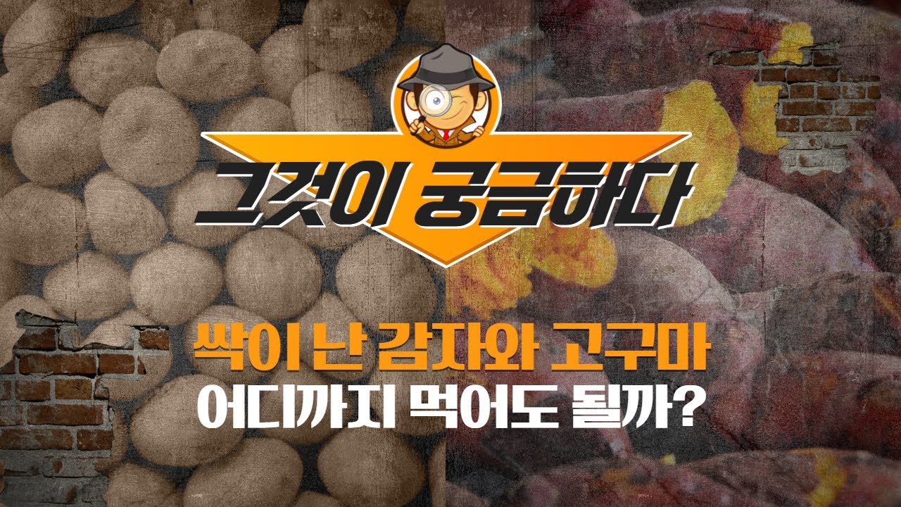 싹이 난 감자와 고구마, 어디까지 먹어도 될까? - Youtube