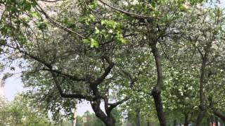 Верните себе Родину! определение первопричин проблем общества Верните себе Родину! определение первопричин проблем общества