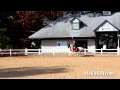 Day 94 ethan doing gangnam style at the horse park