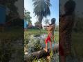 A girl is catching fish very well | great fishing video in the village pond #shorts #fishingmethods