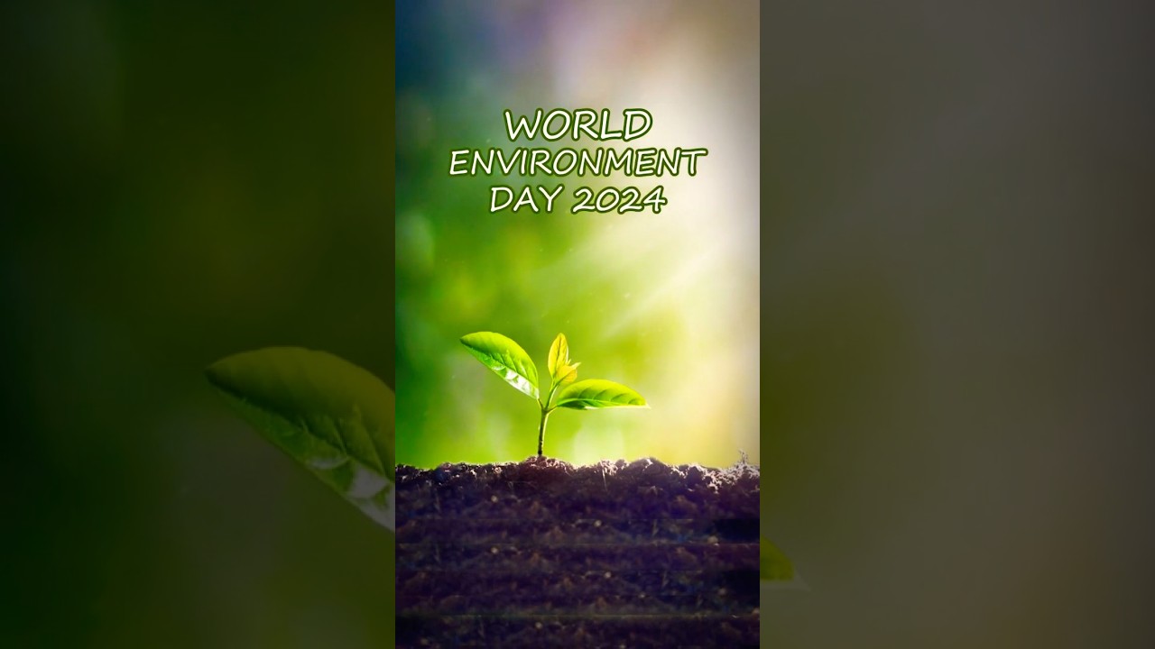 World Enviromental Day | Pixogon Solutions #PixogonSolutions #WorldEnvironmentDay