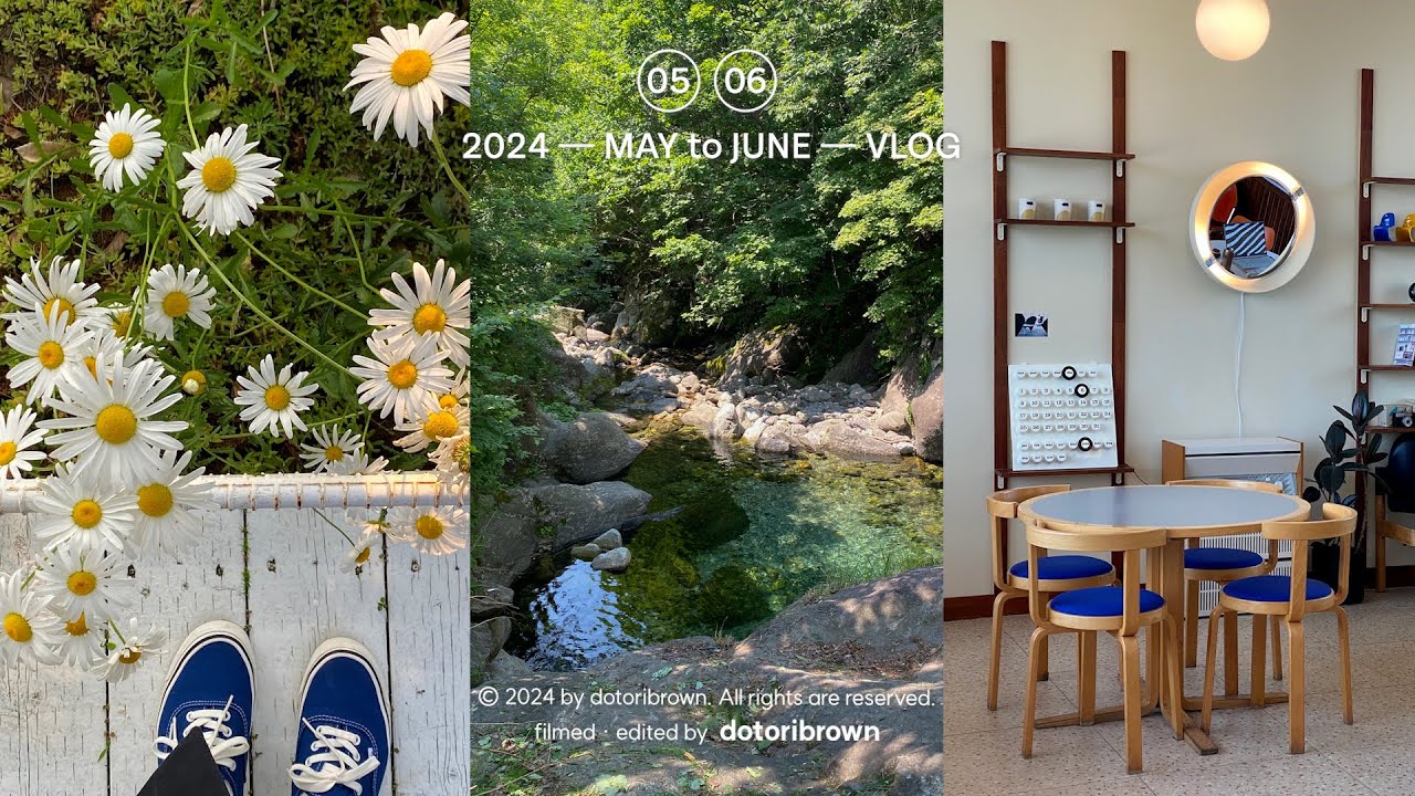 vlog | 여름이었다₊˚⊹ ᰔ 가평 계곡 물놀이, 강화도 여행, 여름 일상 브이로그