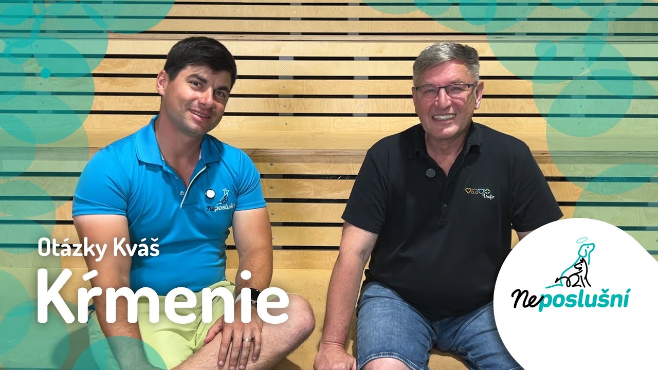 Koľkokrát Denne Kŕmiť Psa a Prečo? | Neposlušní (Juraj Ferko & Martin Kváš)