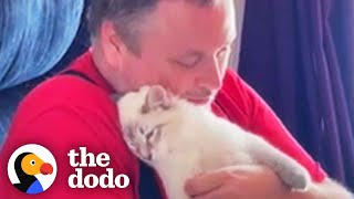 DogPerson Guy Begs His Wife To Adopt Shelter Cat  | The Dodo Foster Diaries