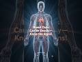 Blood Clot Warning ⚠️#trending #viral #fyp #science