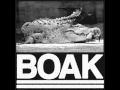 Boak  ii 2016