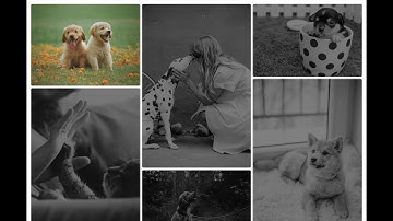 How to make Fluid Responsive Image Gallery by using CSS [CSS Flex]
