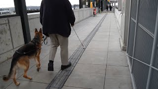 Ada Enhancements To Seattle Passengeronly Ferry Terminal