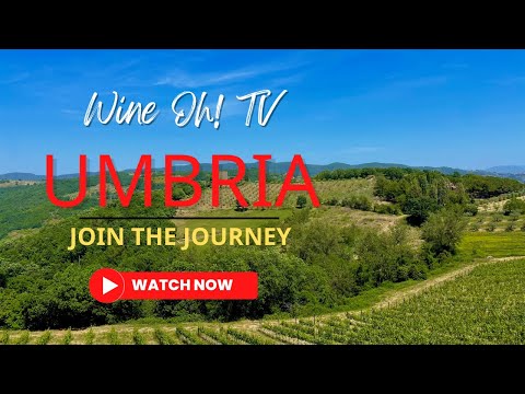 Uncovering Umbria: Italy's Undiscovered Wine Region