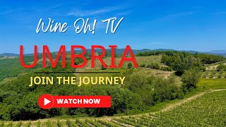 Uncovering Umbria: Italy's Undiscovered Wine Region