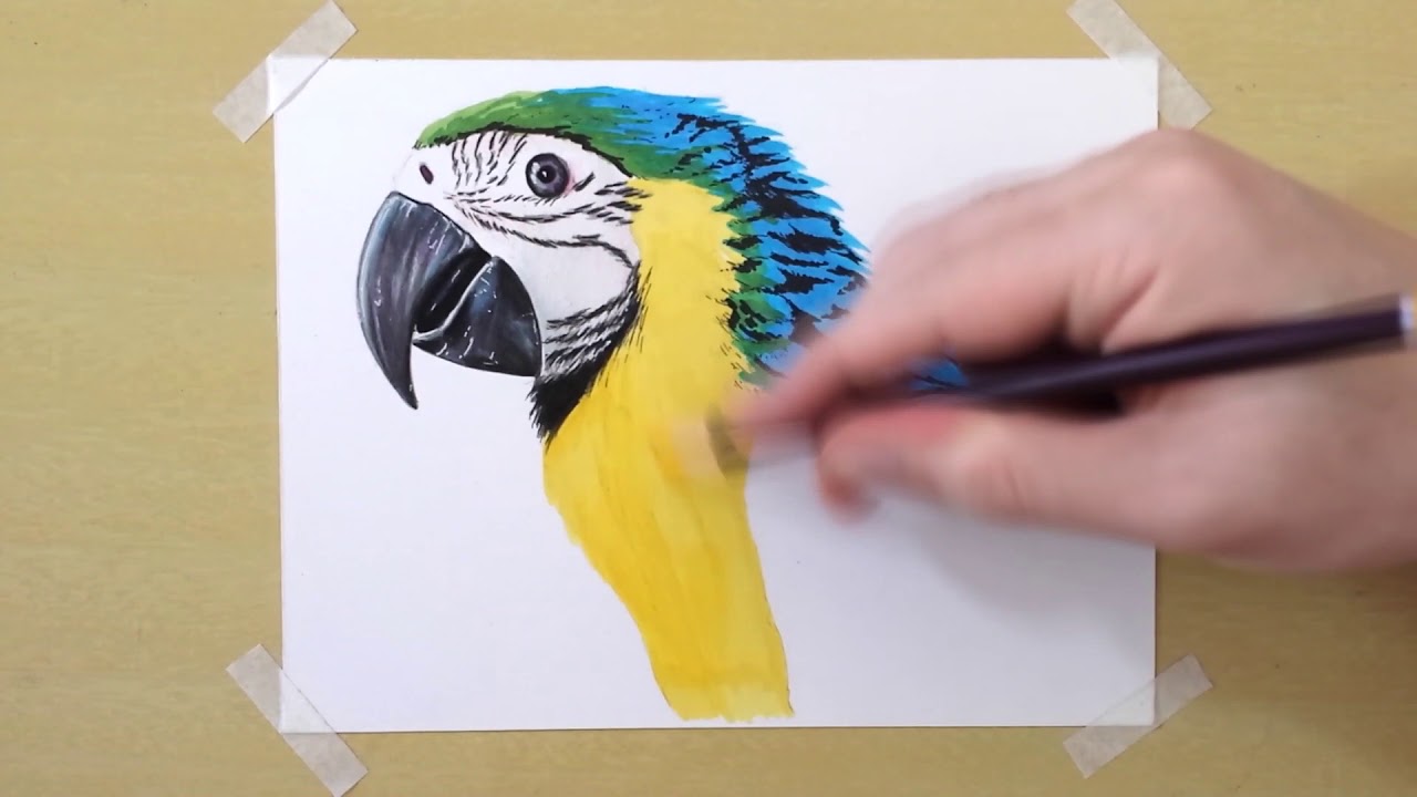 Very Create - Watercolor Brush Pen Parrot