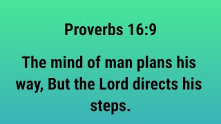 Proverbs 16:9 NASB The mind of man plans his way, But the Lord directs his steps.
