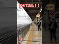 [信じられない]「なんてラッキーなんだ！」新幹線同士のすれ違いに外国人観光客が子供のように大はしゃぎ。
