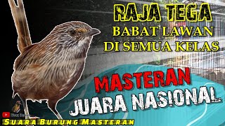 BURUNG FULL TEMBAKAN MASTERAN BURUNG JUARA || MASTERAN KELAS JUARA NASIONAL