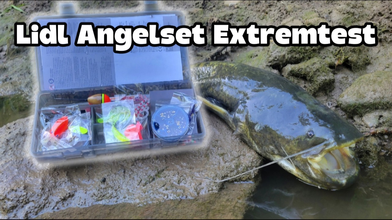 LIDL- Angelset im Extremtest - Hlt es dem Wels stand?!