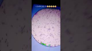 Over Doing The Cells In Cell Lab🤣🤣🤣🤣