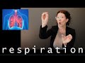 ASL How does the Respiratory System work?