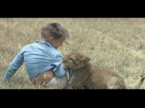 George Schaller, Ph.D., Wildlife Conservation Soci...